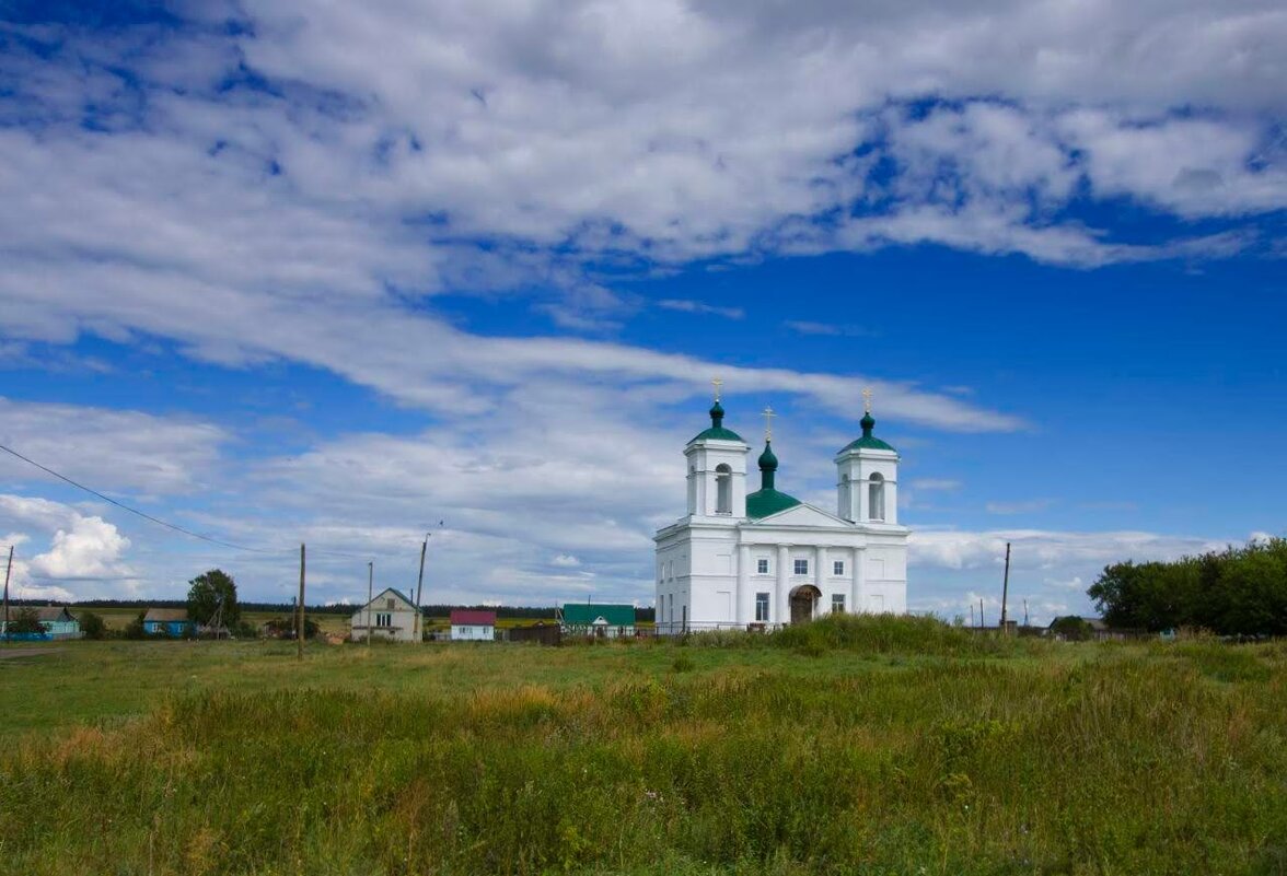 Про веру и голубое небо - Пасечник 