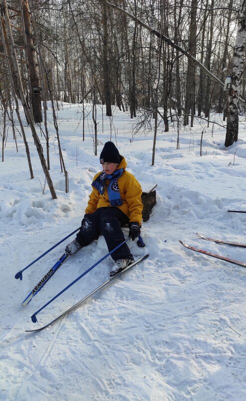 Сяду на пенёк, отдохну чуток! - Татьяна Лютаева Сяду на пенёк, отдохну чуток! - Татьяна Лютаева
