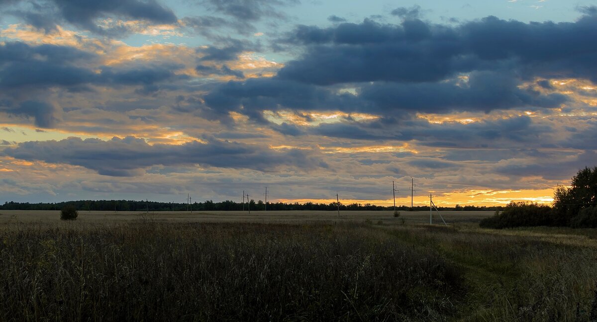 *** - Андрей Андрианов *** - Андрей Андрианов