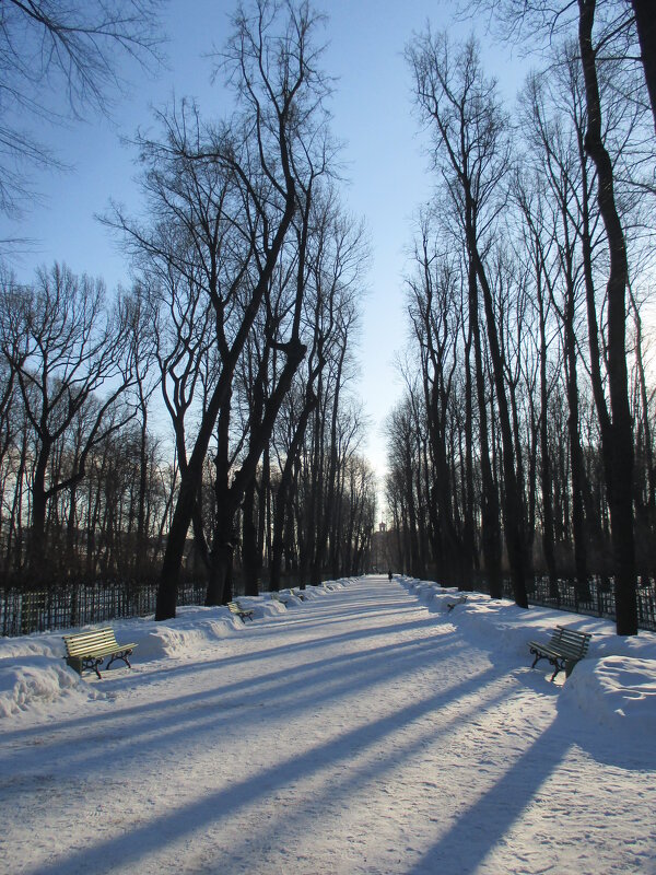 Летний сад в феврале - Маера Урусова