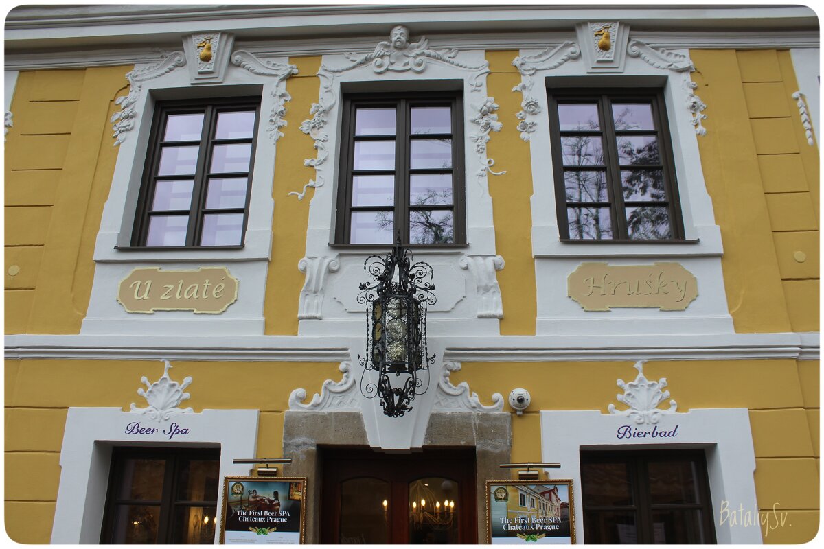 "У золотой грушки"(Новый Свет) - Светлана Баталий "У золотой грушки"(Новый Свет) - Светлана Баталий