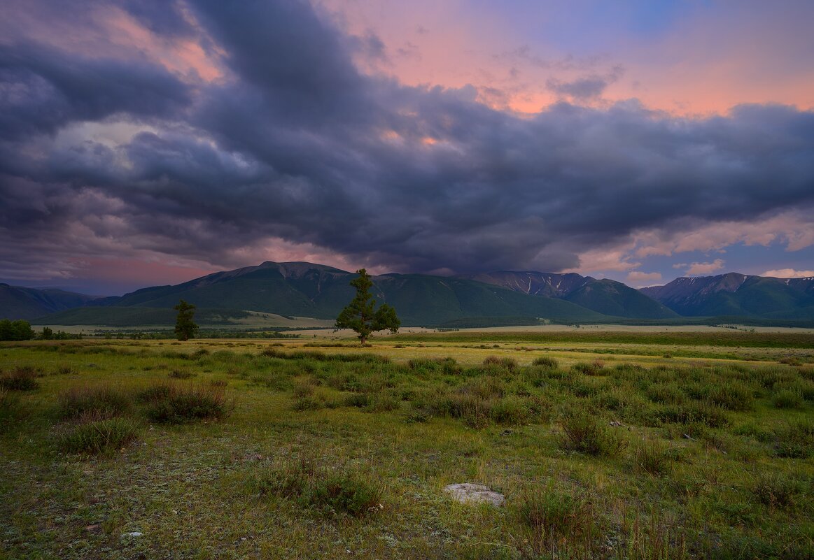 * - Александр Иванов