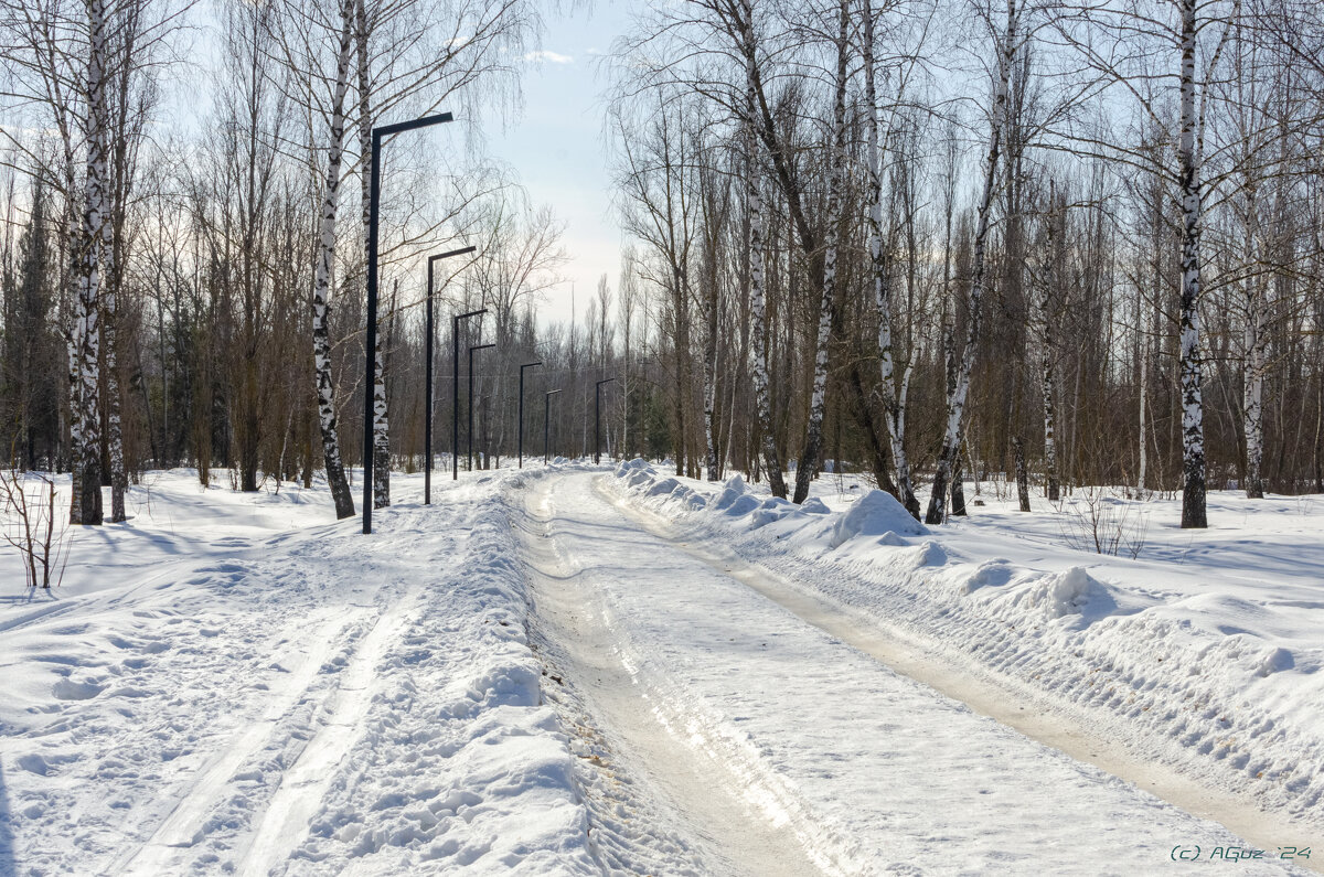 Городской парк - Andrej Guz