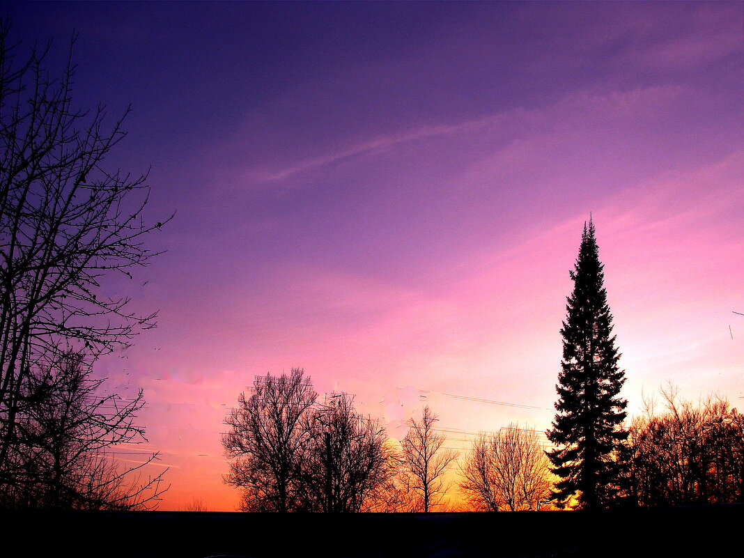 Февральский вечер - Людмила Смородинская Февральский вечер - Людмила Смородинская