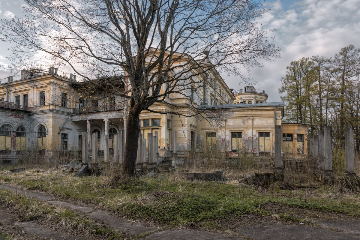 Про Питер - Владимир Колесников Про Питер - Владимир Колесников