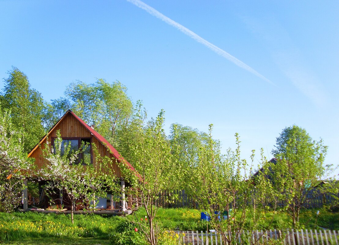 дача - Наталия Смирнова дача - Наталия Смирнова