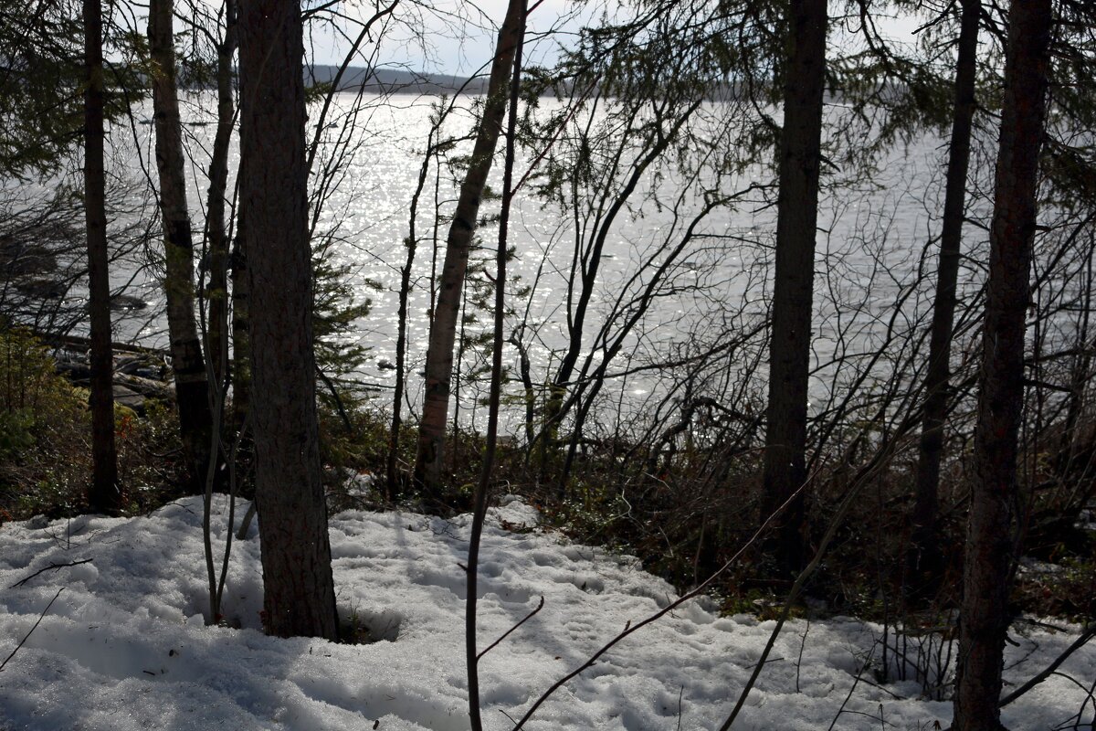 У озера - Ольга У озера - Ольга