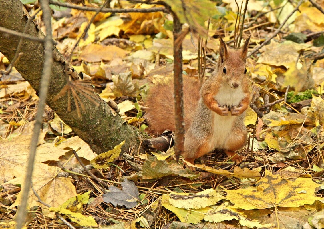 ...Кто?...Я?!... - Александр Герасенков