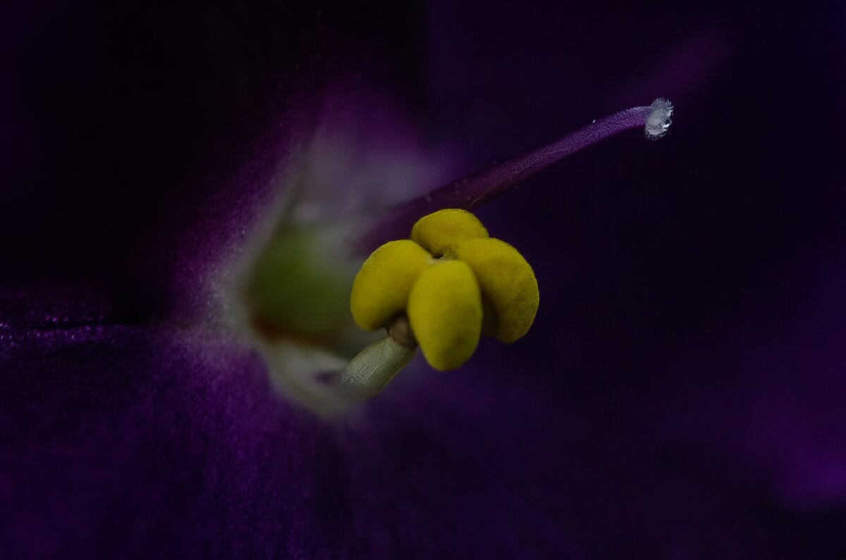 *** - Виктор Иванович Чернюк *** - Виктор Иванович Чернюк