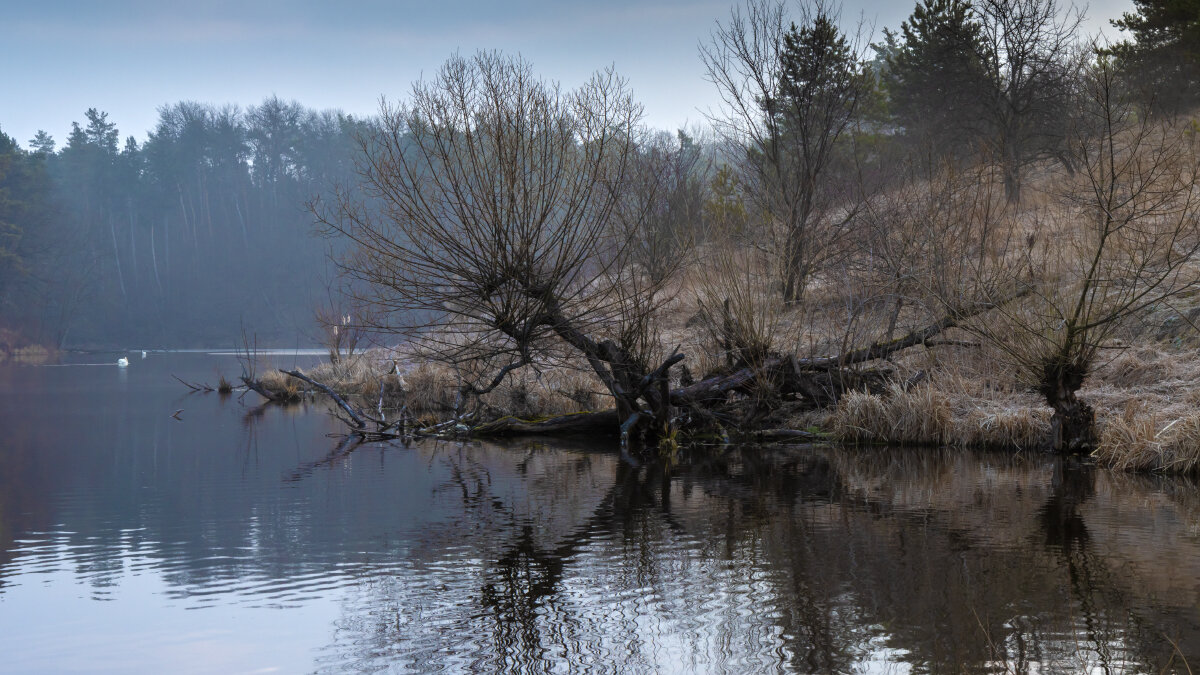 *** - Victor Nikonenko