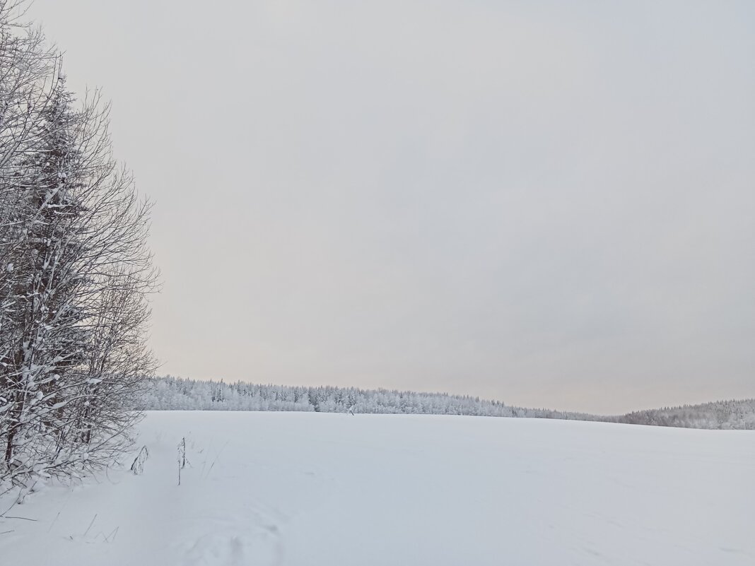 Белое безмолвие - Виктор 