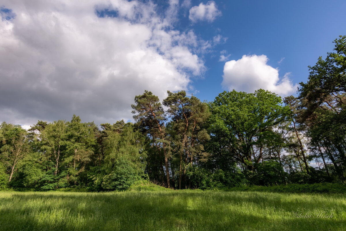 *** - Николай Гирш *** - Николай Гирш