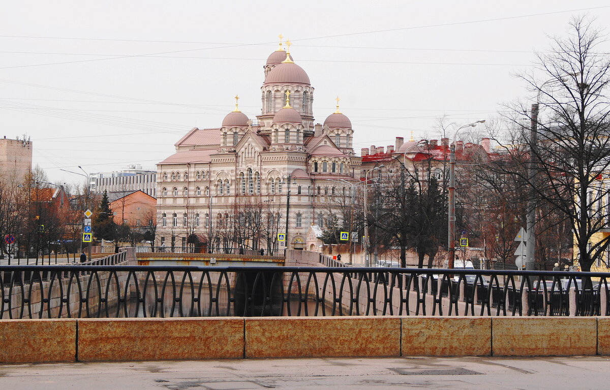 ПОПЕТРОГРАДКЕ - Виктор Никитенко