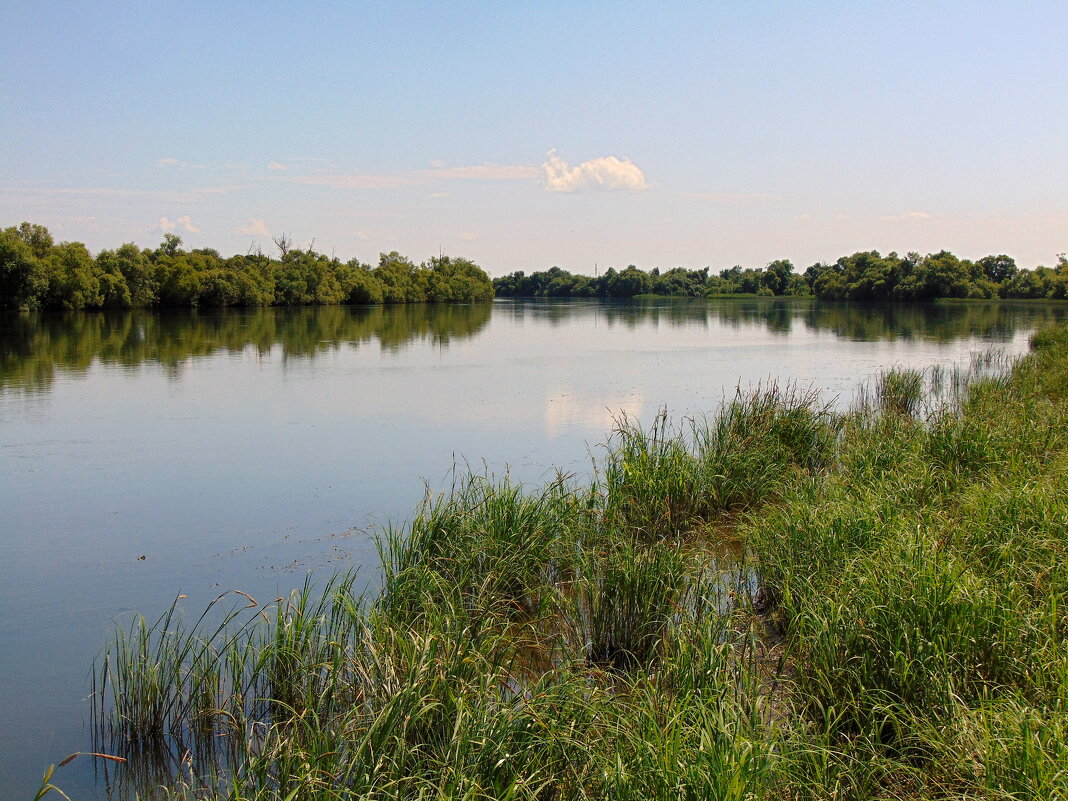 Тишина. - nadyasilyuk Вознюк