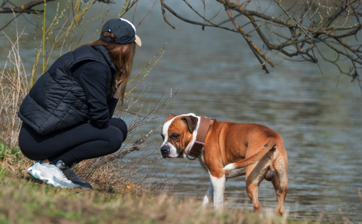 Размолвка... - Владимир Безбородов Размолвка... - Владимир Безбородов