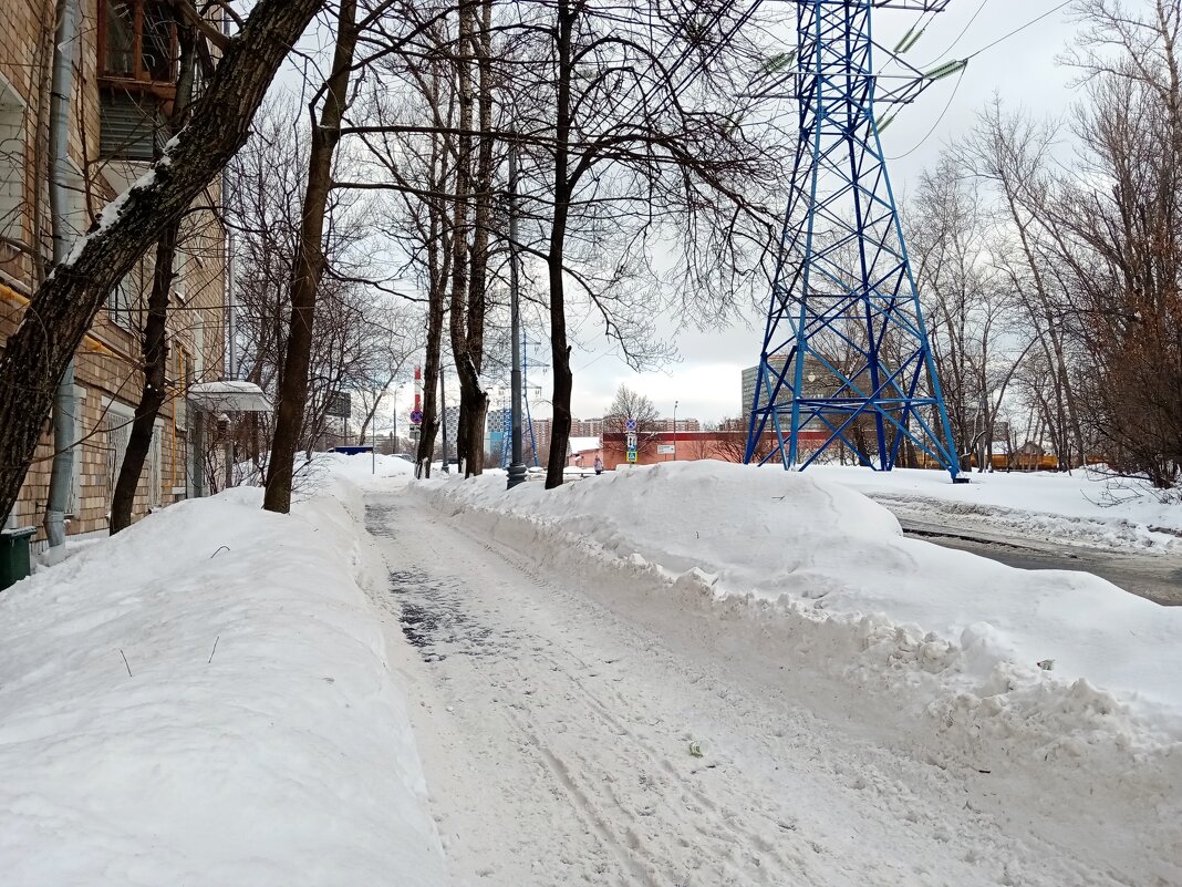 Зима в Москве. - Владимир Драгунский