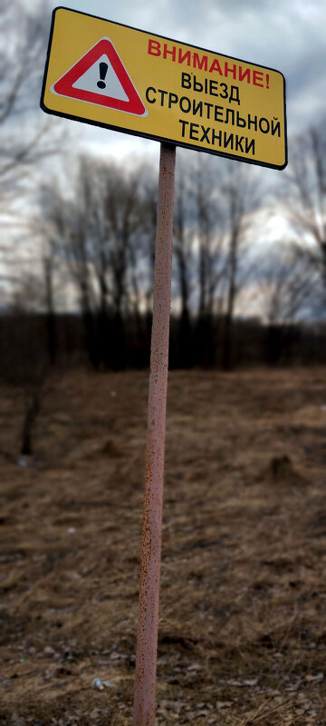 Знак. - Радмир Арсеньев