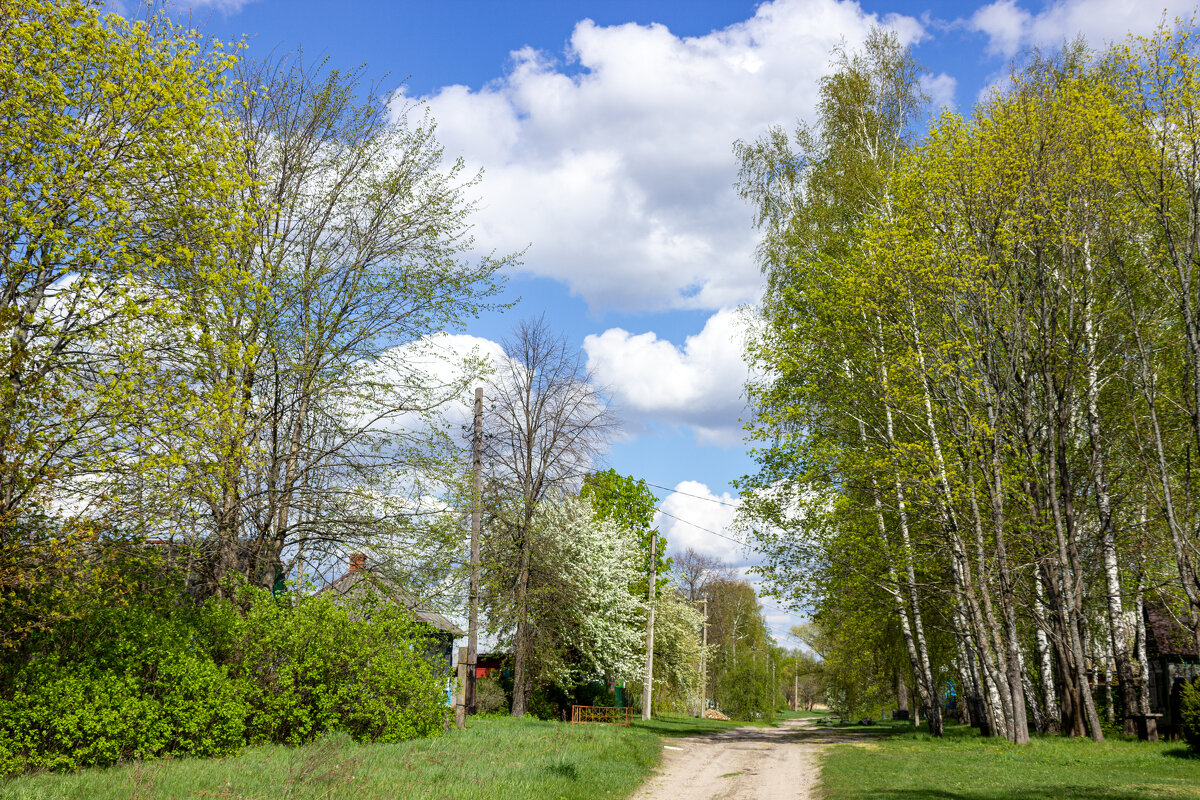 .. - оксана .. - оксана