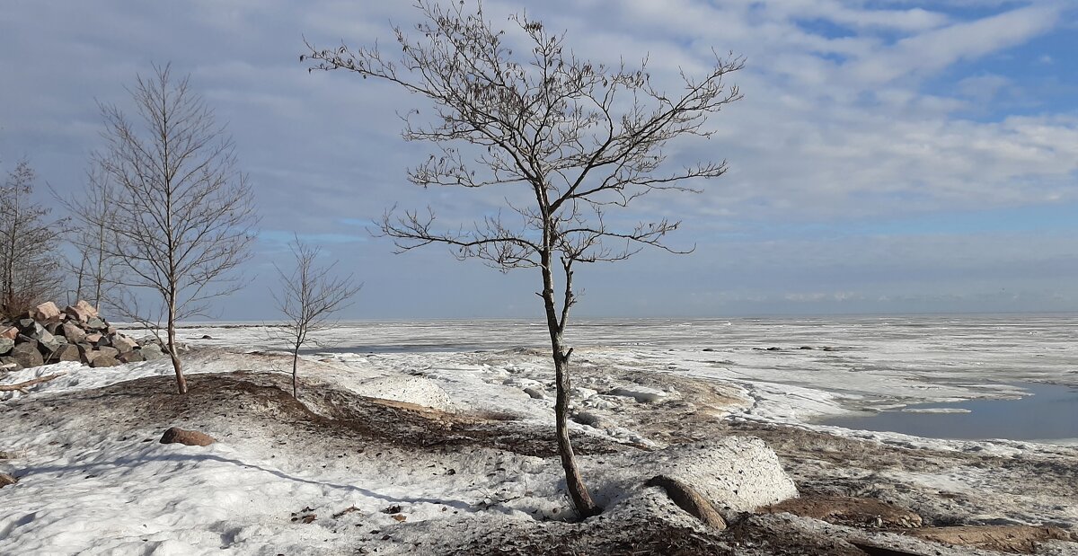 Зеленогорск - Наталья Герасимова