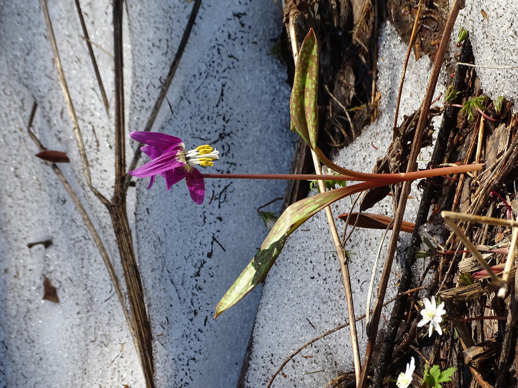 Здрасти, а вот и я! - Павел Трунцев