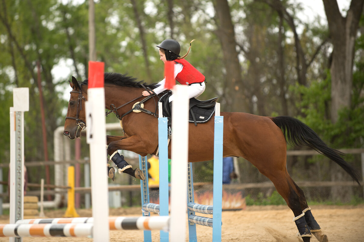 Через тернии... - Александр Гриднев