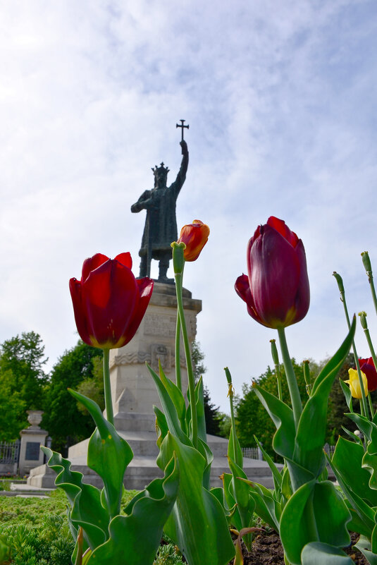 Весенние Истории 2 - александр донченко Весенние Истории 2 - александр донченко