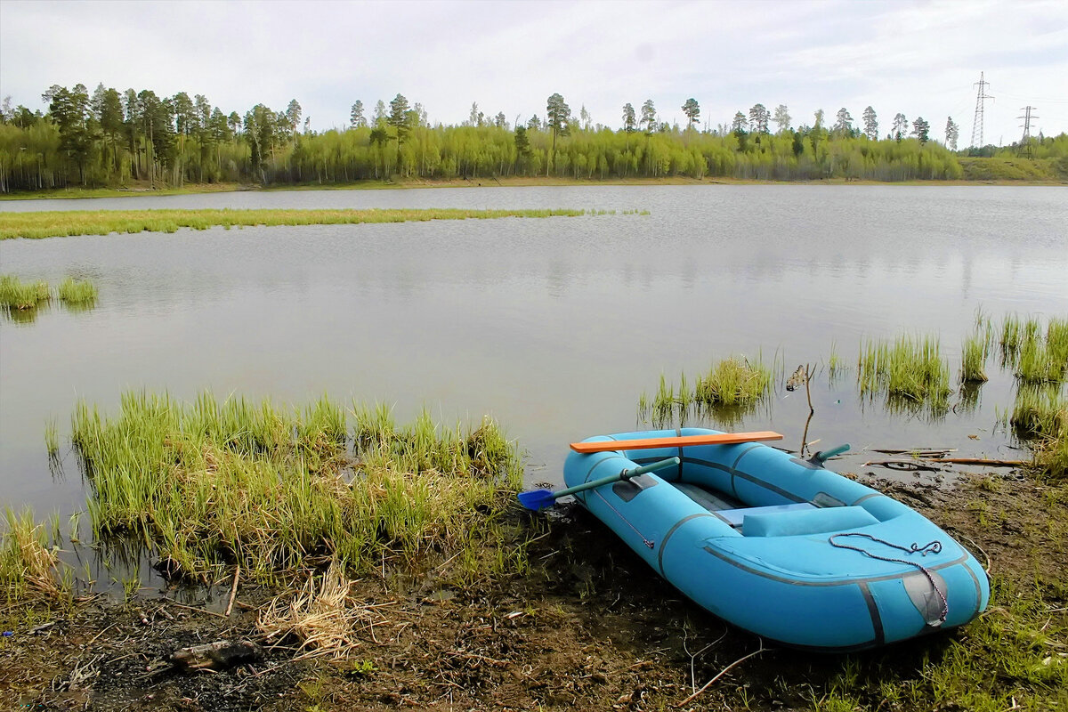 Июнь....У карасевого озера! - Владимир Июнь....У карасевого озера! - Владимир
