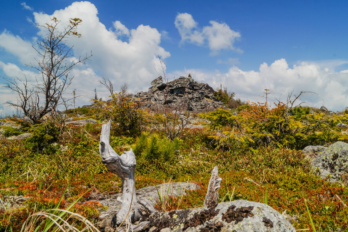 Вершина горы Маглой - Виктор 