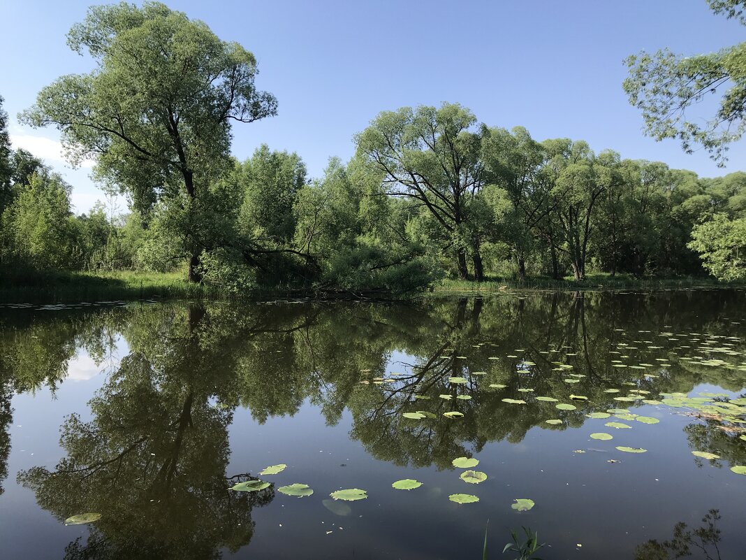 Спокойная вода… - Любовь 