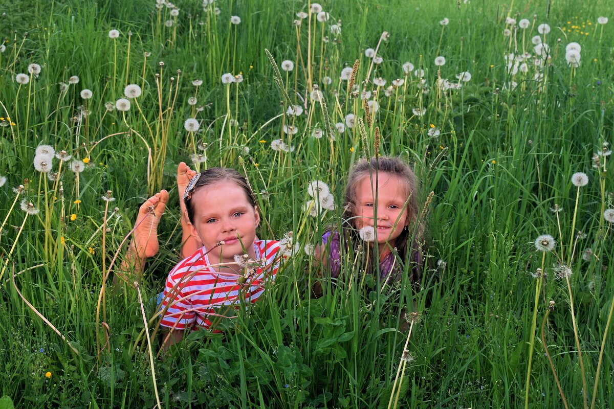 Начало лета, когда всё ещё впереди. - Татьяна Помогалова Начало лета, когда всё ещё впереди. - Татьяна Помогалова
