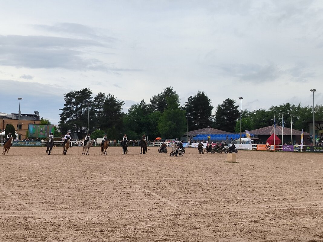 Мото-конное шоу. - Ольга 