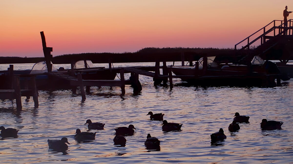 Рассвет на рыболовной базе. - Евгения Рассвет на рыболовной базе. - Евгения