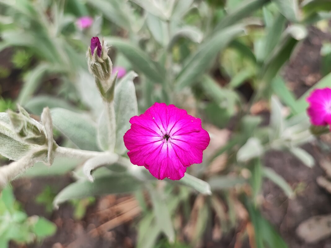 ,,, - Сергей Тимоновский