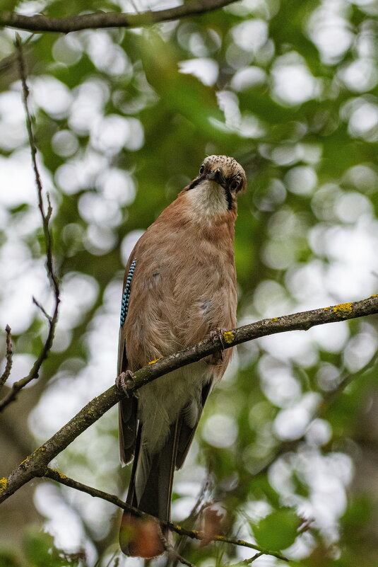Фотографируй меня пока я сижу - Павел Катков Фотографируй меня пока я сижу - Павел Катков