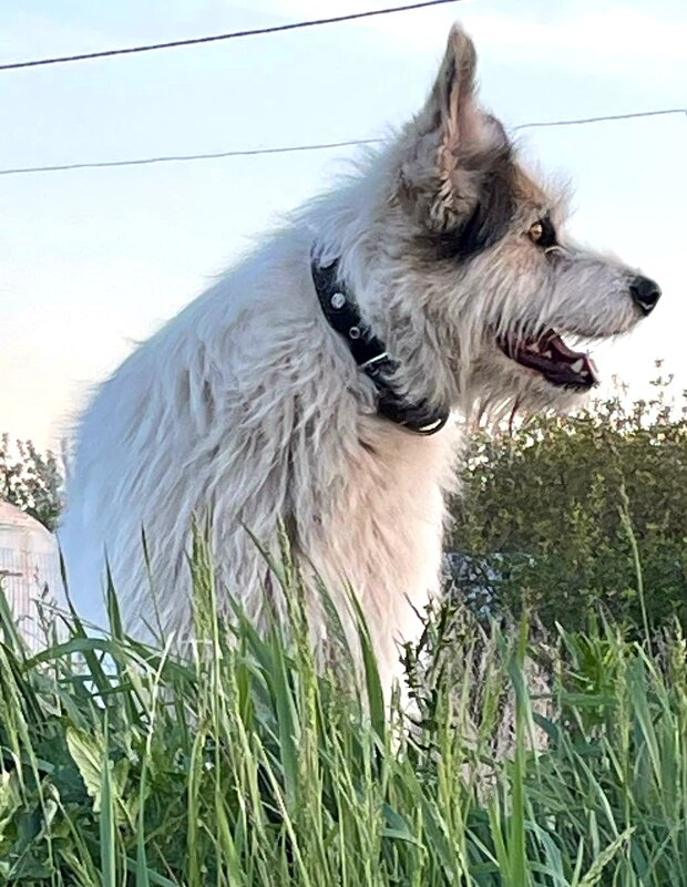 *   *   * - Елена 