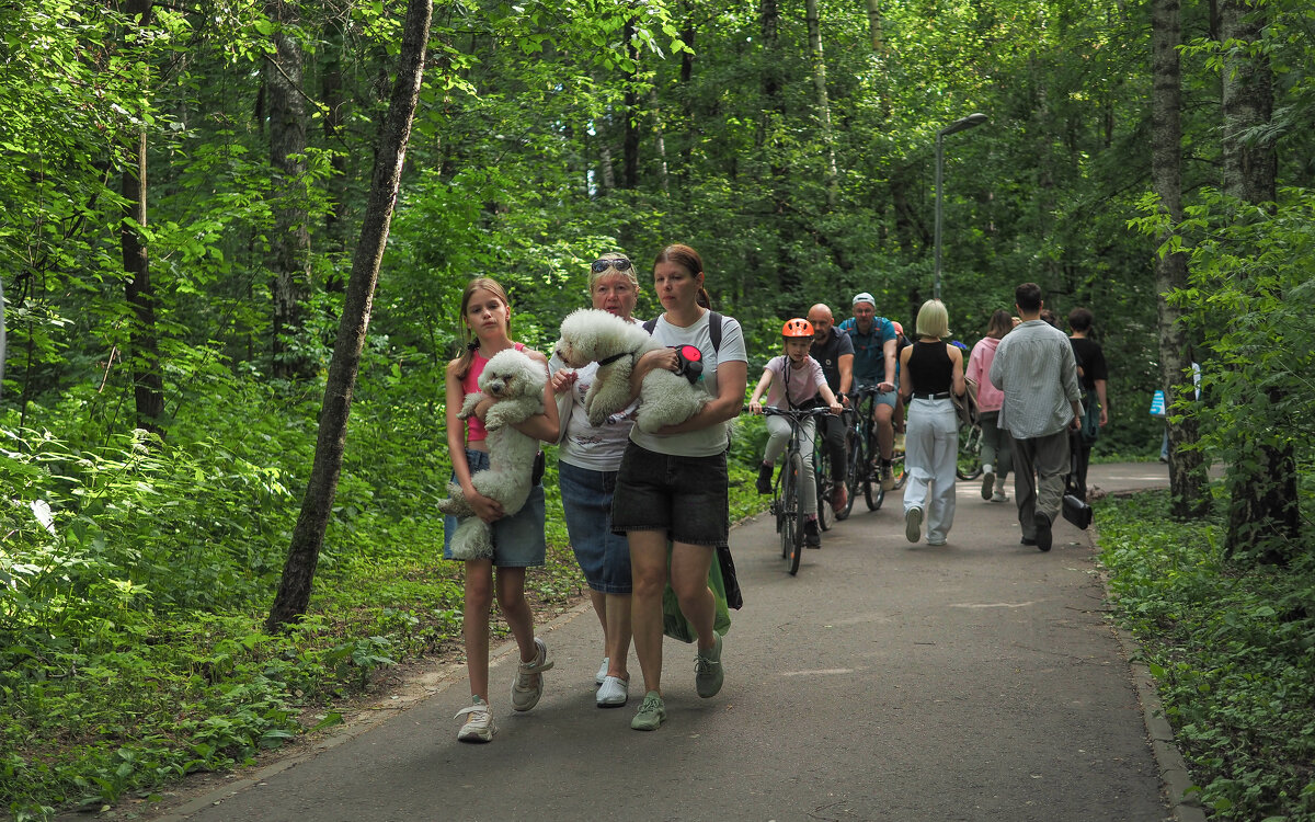 Прогулки в Летнем Парке - юрий поляков Прогулки в Летнем Парке - юрий поляков
