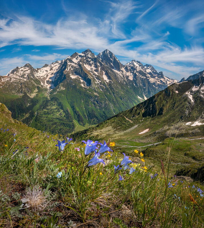 Жить в Здесь и Сейчас! - Фёдор. Лашков