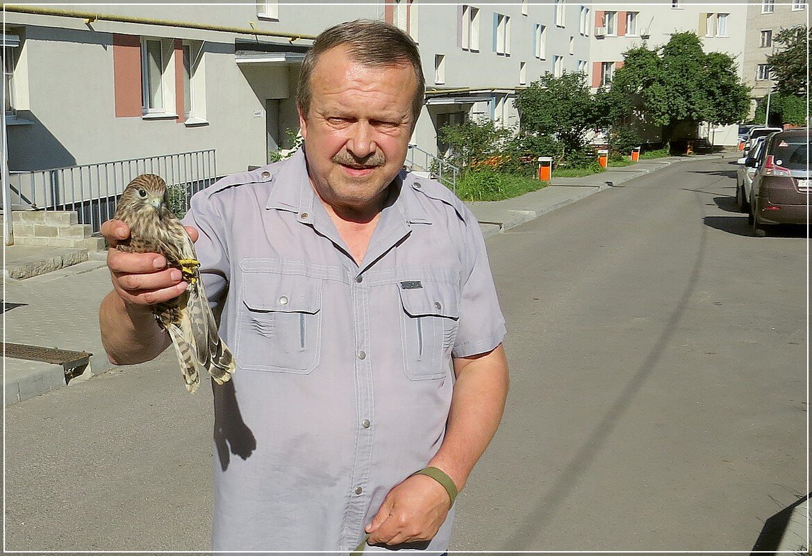 Второго подобрали на траве - Сеня Белгородский