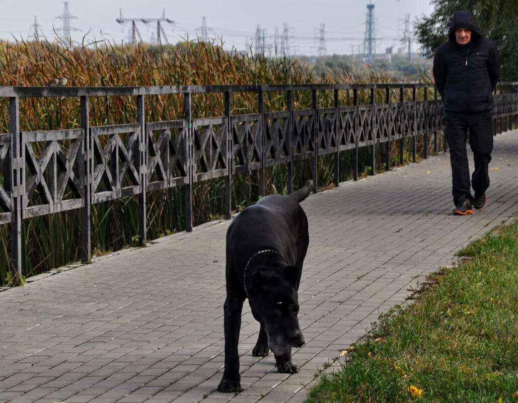 У такого не забалуешь , хоть и преданы друг другу,,, - Анатолий Колосов У такого не забалуешь , хоть и преданы друг другу,,, - Анатолий Колосов