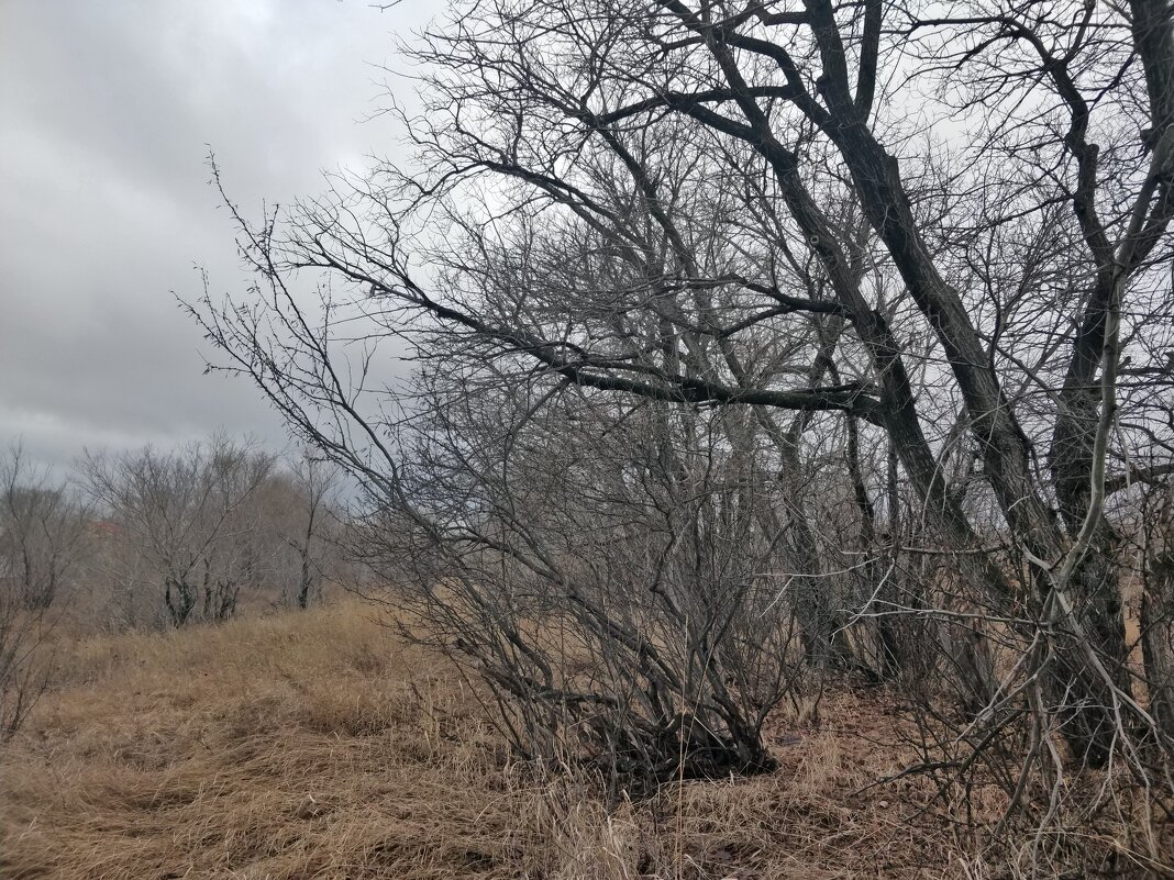 Хмурый осенний денёк - Андрей Хлопонин Хмурый осенний денёк - Андрей Хлопонин