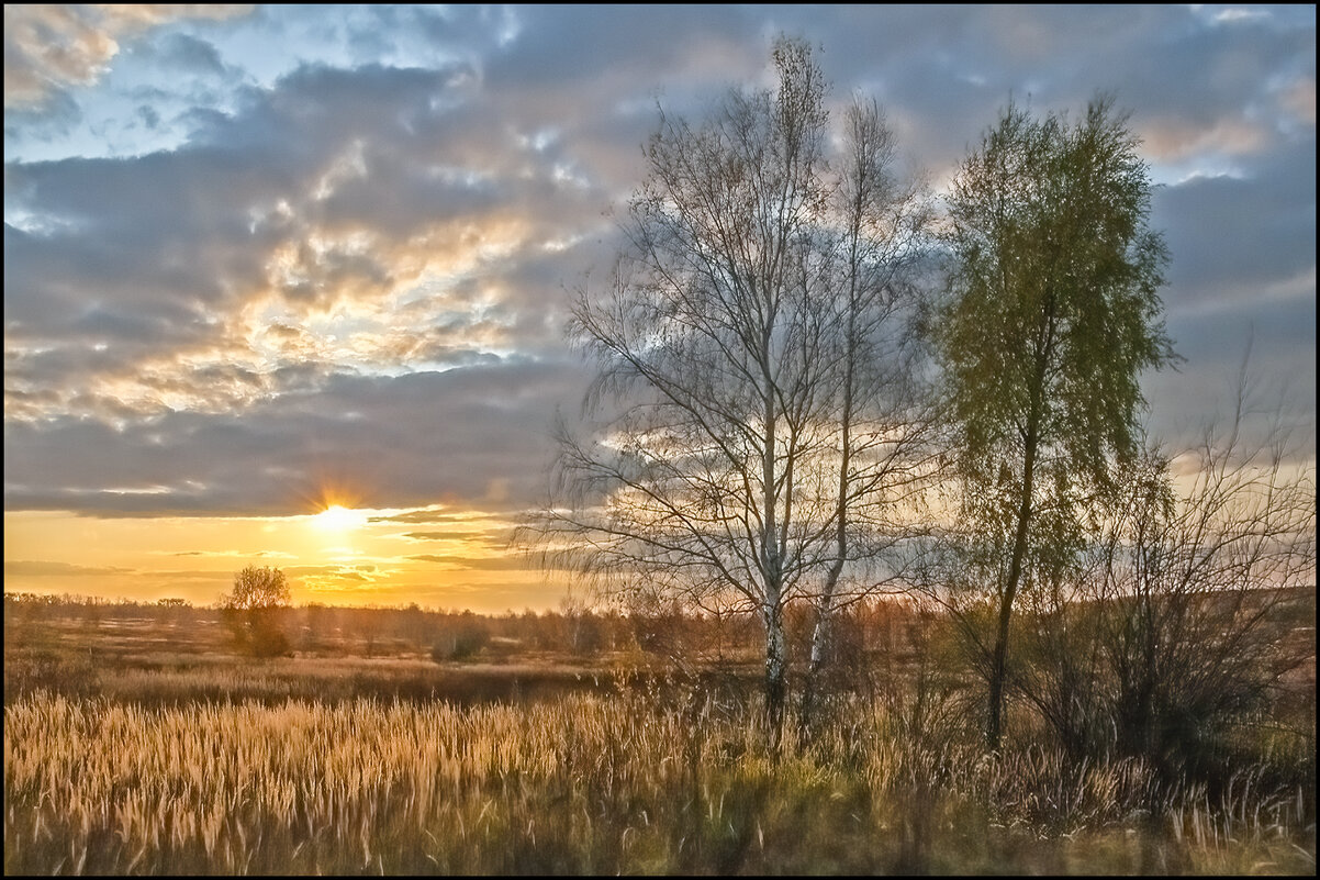 Осень - **** vedin