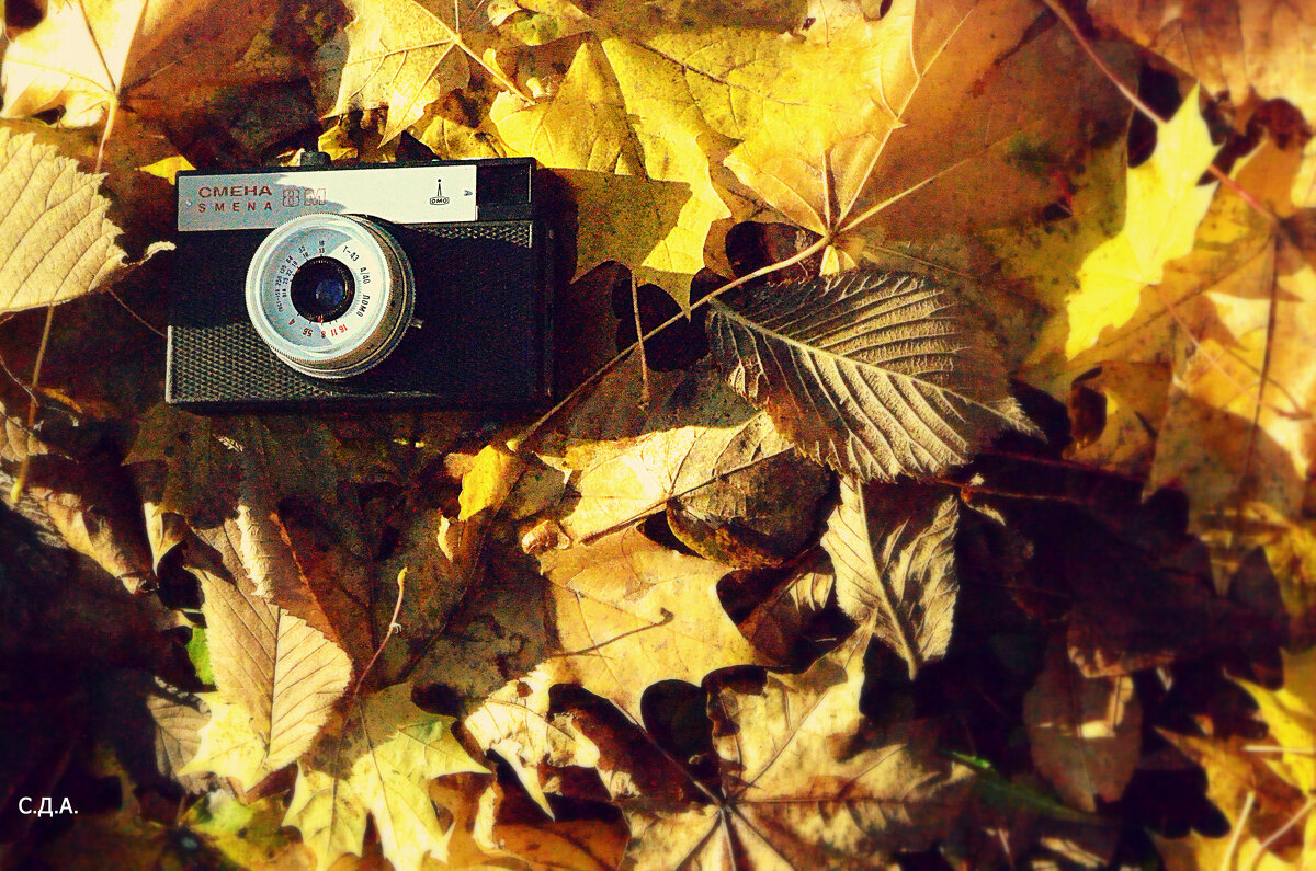 Осень со "Сменой"... - Дмитрий 