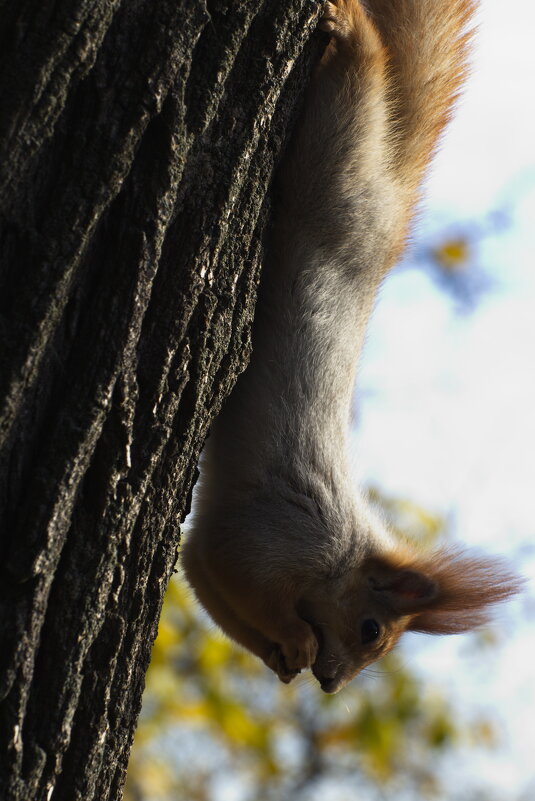 А что там? - Владимир Зырянов А что там? - Владимир Зырянов