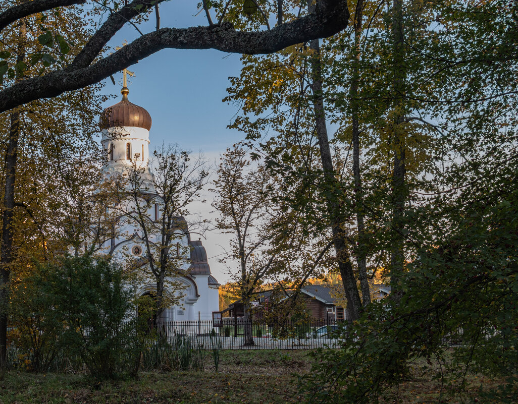 парк Александрия - navalon M