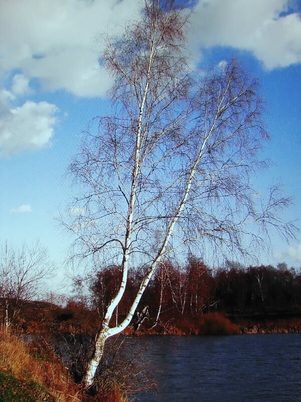 Осенний пруд - Людмила Смородинская