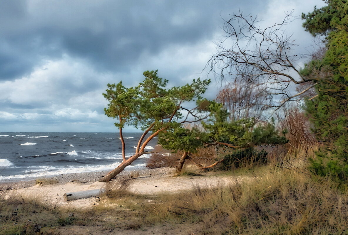 Jūra,saule un vējš...54 - Arturs Ancans