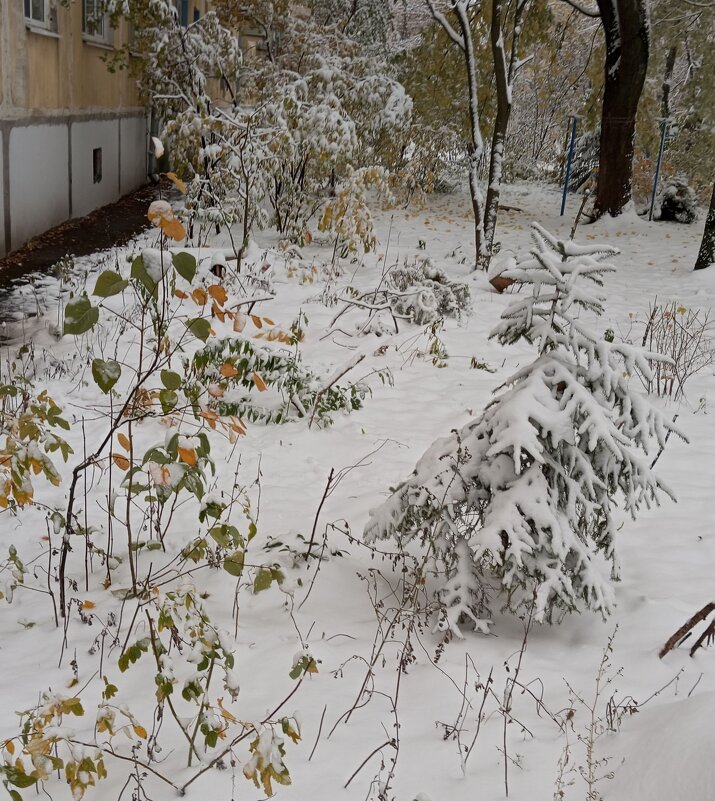 Зимнее-осеннее - Елена Семигина Зимнее-осеннее - Елена Семигина