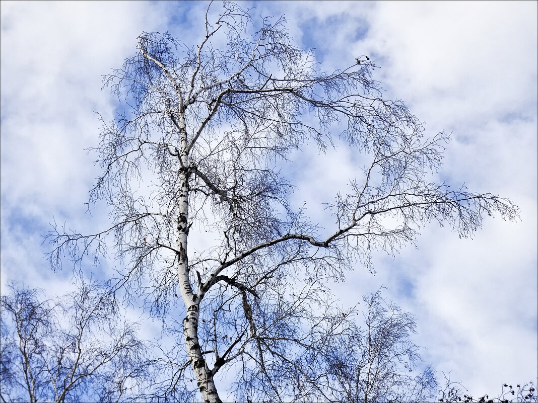 Начало декабря - Валентина * Начало декабря - Валентина *