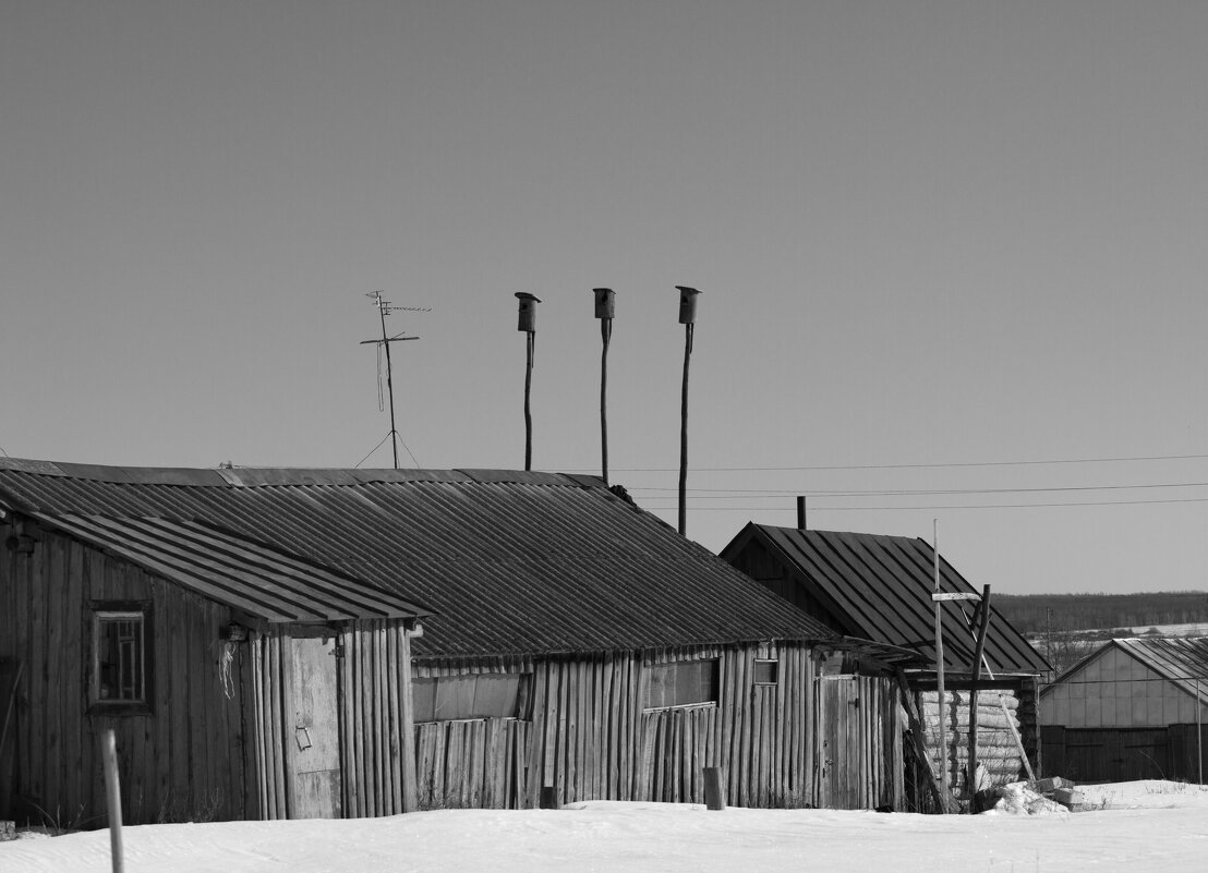 Утро на селе - Пасечник 