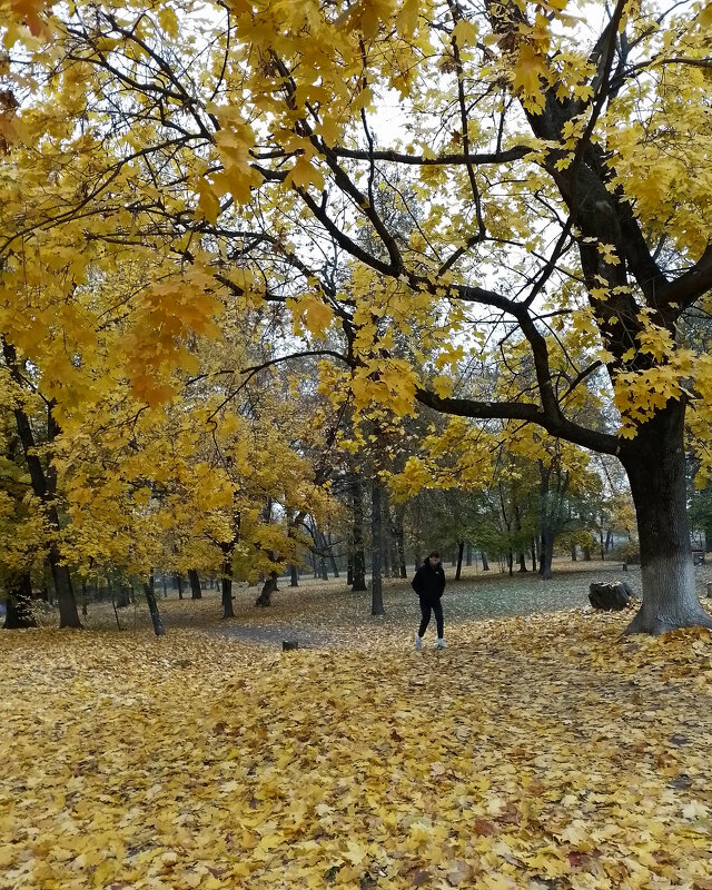 *** - Валентина Береснева